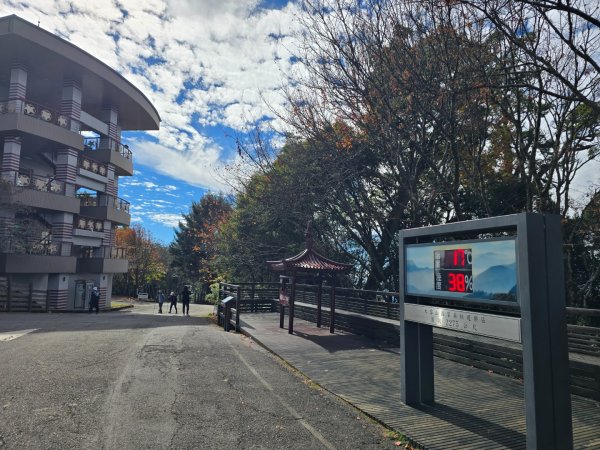 大雪山國家森林遊樂區賞楓／看神木／賞雪白山頭／賞大景2974309