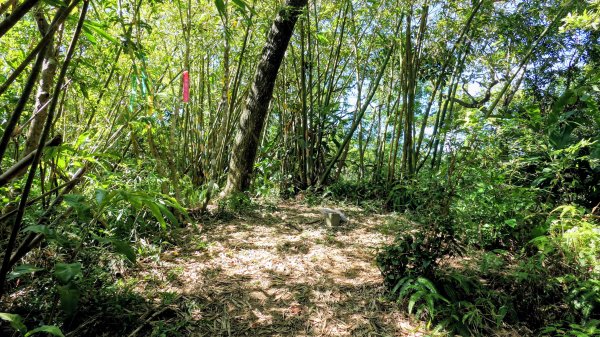 梅竹蹊山,麻竹坑山,苕谷瀑布,蝙蝠山2883304