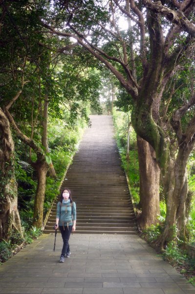 台北大縱走第七段 樟山寺-樟樹步道-茶展中心步道-大成殿步道-指南宮步道1577589