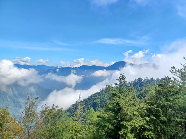 【台中和平】大雪山啞口觀景台步道2933089