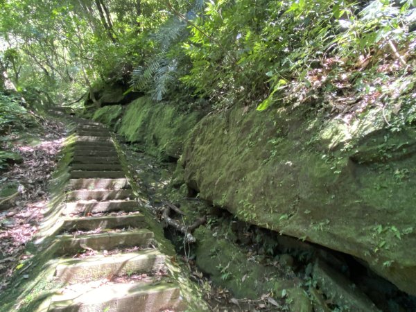 2025微笑山線大縱走尋寶集章任務-Ep.11【五分山系】平溪小黃山段｜慈母峰 × 孝子山2908902