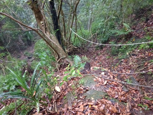 平溪區平溪子山遇雷雨O型2850154