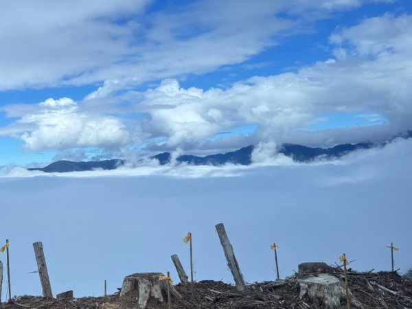 觀霧-榛山步道2926025