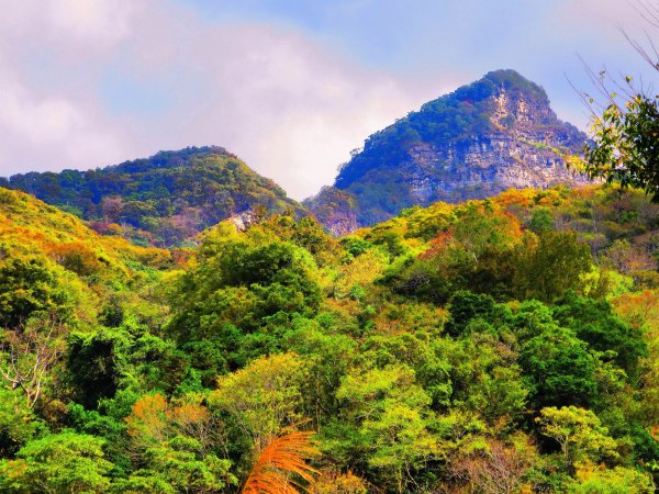 【苗栗泰安】水雲三星之首--虎山1178413