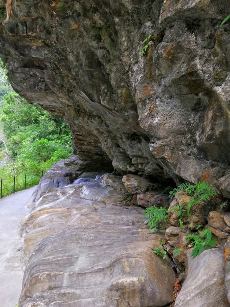 花蓮秀林~峻秀峽谷山水石壁畫~砂卡礑步道1039808