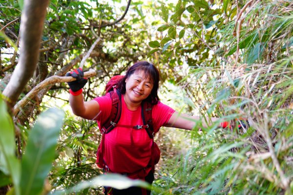 三腳南山、難山傻傻分不清楚1241011