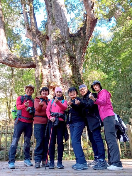 20260104司馬庫斯 &巨木群攀登2978858