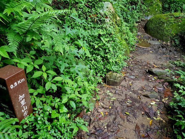 小百岳集起來-加里山2185857