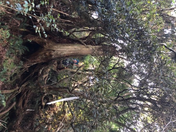 貴妃山、那結山O走1478355