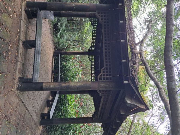 小百岳集起來大崙頭尾山親山步道3127363
