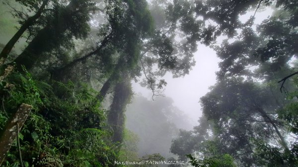 《雲林》望好望角｜石壁山嘉南雲峰步道(中側登山口）202506072805355