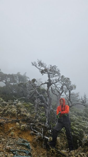 20250319～20嘉明湖國家步道🥶🥶🥶殘念😭2739749