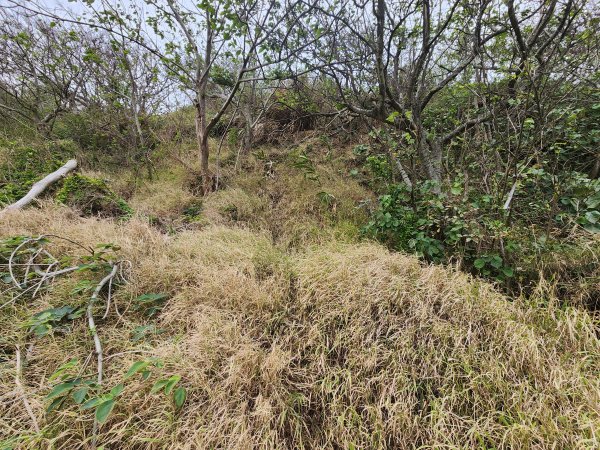 20250101海口山、糠榔埔山、闖水窩山及大牛朝山2726191