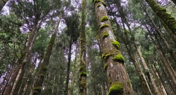 【中級山】宜蘭小百岳，三星山3131428