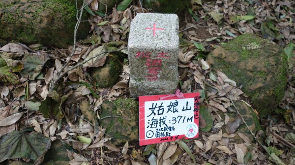 新北石碇姑娘山、雞冠山、松柏崎山、紙寮坑古道8字行1968537