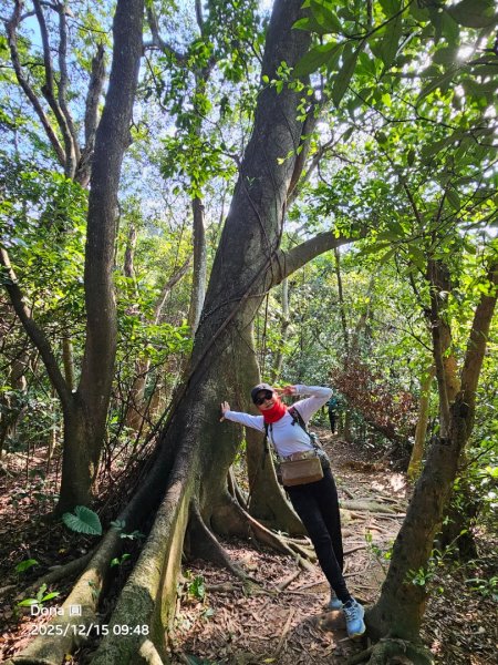 20251215林口森林步道+太平嶺海濱步道2969352