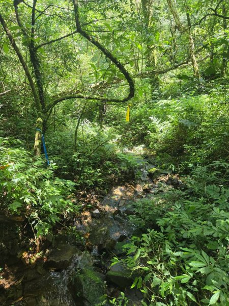 20260822梳妝三山(梳妝樓山-梳妝頂山-梳妝頭山)3111536