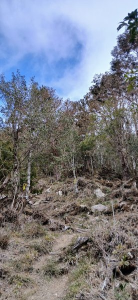 2025 3/1 三星山2723850