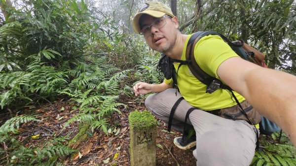 20251230九芎根山-芋圓尖-火炎山南主東峰-仁里坂山2977799
