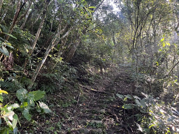 [淡蘭古道] 2025_0802 南路第四段2850811