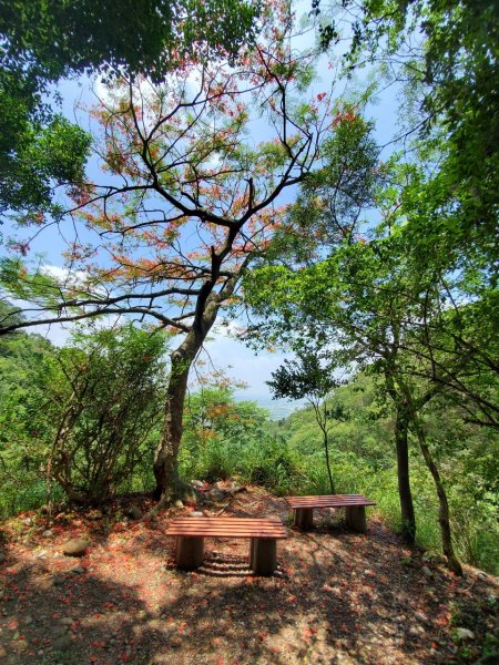 【彰化 | 橫山】975452