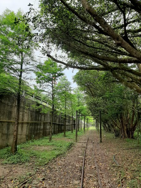 小百岳寶石〡No.10 五分山968810