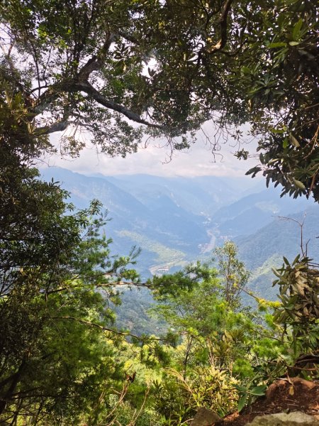 阿冷山 谷關第八雄2877404