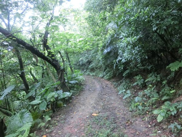 豹山溪步道．獅山．象山．和興炭坑199022