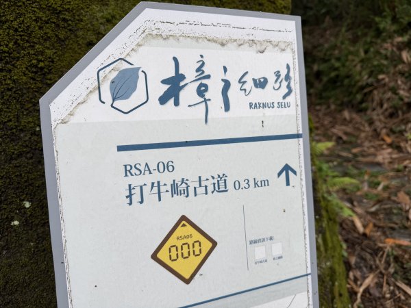[樟之細路_第一大段RSA06] 2026_0329 打牛崎古道3027163
