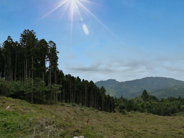 油羅山1上3下1023113