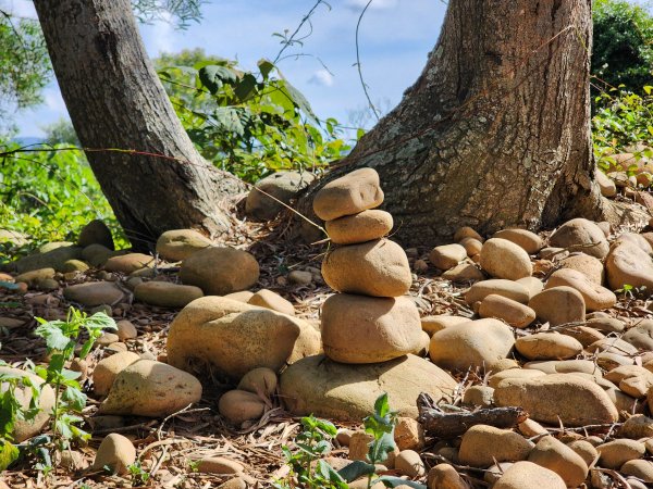 新竹新埔｜文山步道｜犁頭山2891120