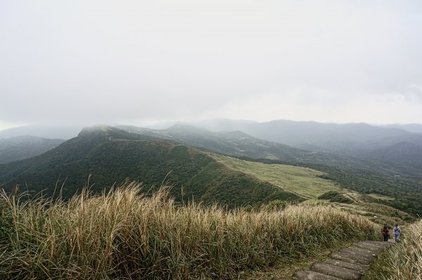 灣坑頭山 桃源谷步道 連走2034821