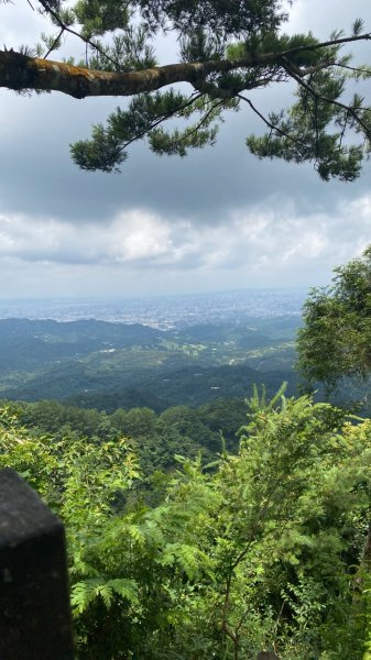 頭科山(大坑4號步道)3081123