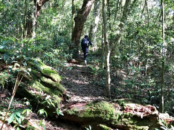 鳴海山順走五公山569067