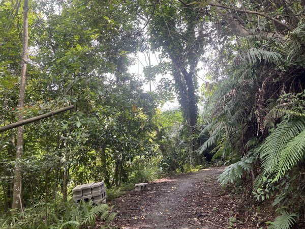 [皮皮獅Hike客任務-05/10] 2024_0721 石硬子古道(石峎古道)2557523