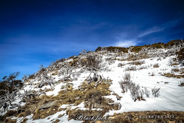 雪山主東峰下翠池919450