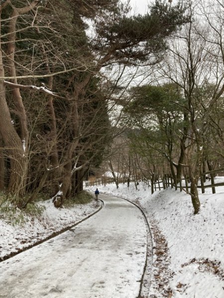 5 大阪金剛山全記錄2711121