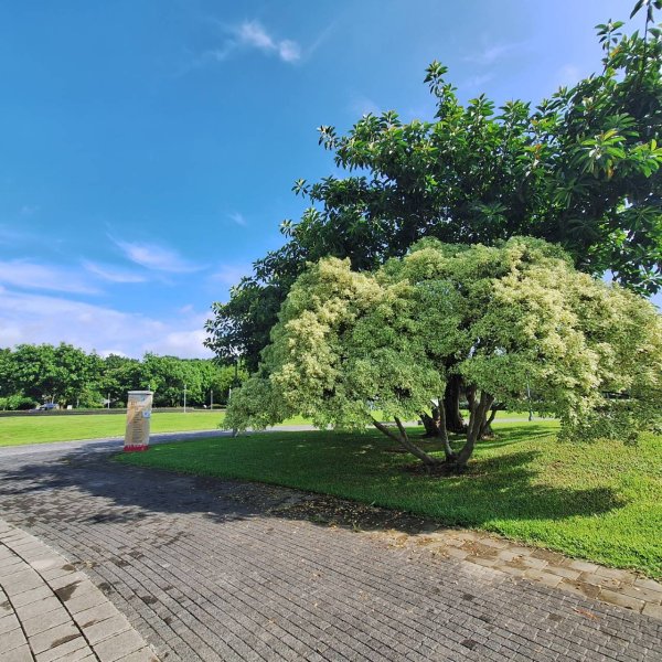 「2025 臺北健走趣」12行政區完成!2838588