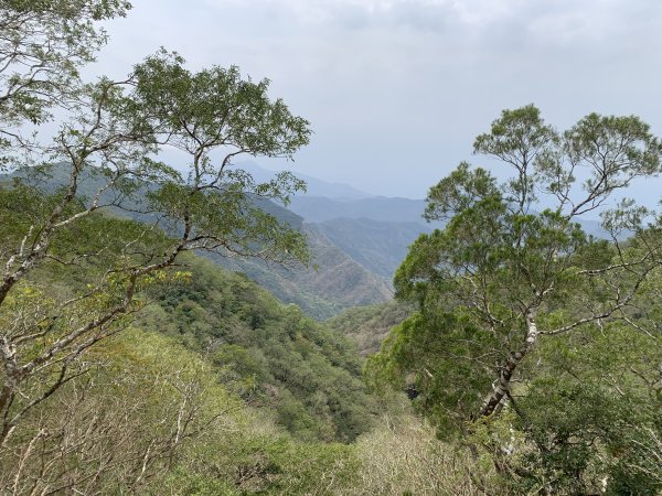 20250404屏東北獅子頭山-霧里乙山2757454