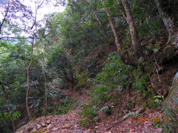 南投 埔里 舊武界越山、板仔寮山1286585