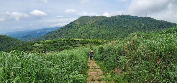 2024-05-04大屯主峰步道2496274