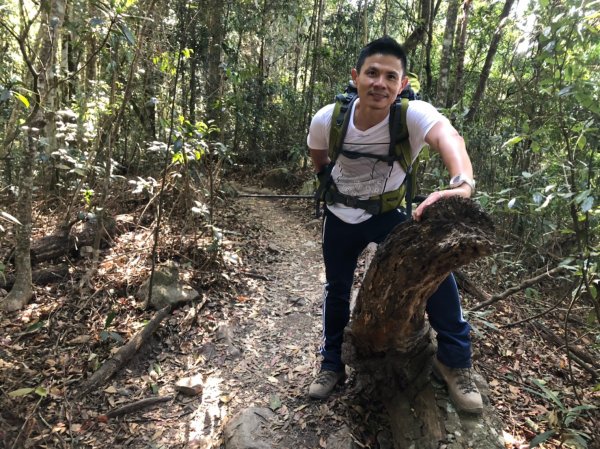 白毛山【一年一雄 完登七雄不是夢】771520
