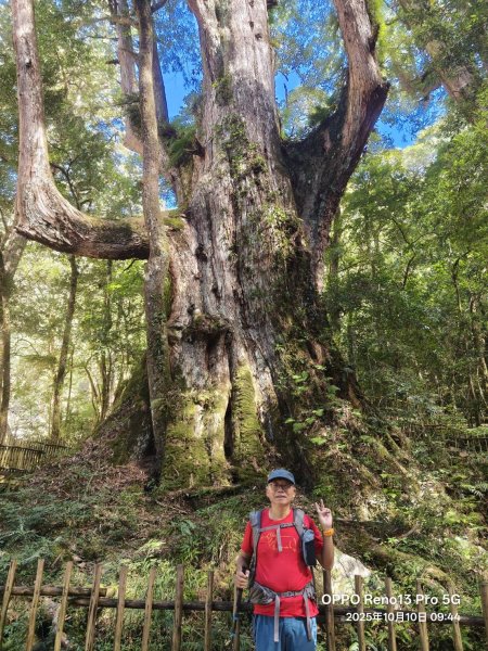 [皮皮獅探險隊-11/10] 2025_1010 隱藏任務–司馬庫斯神木群步道2912311