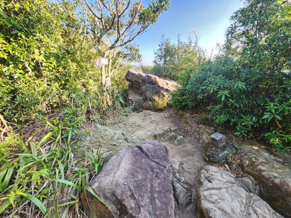 20260110大湖公園捷運站至擎天崗2993194