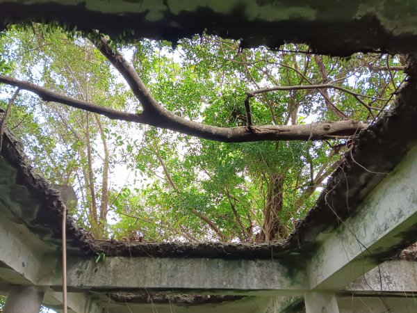 微笑山線和美山螢火蟲段2986174