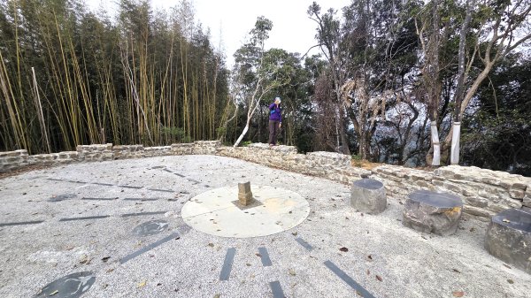 桃園復興枕頭山及薑母島偶遇穿山甲的悠閒O型走2984244