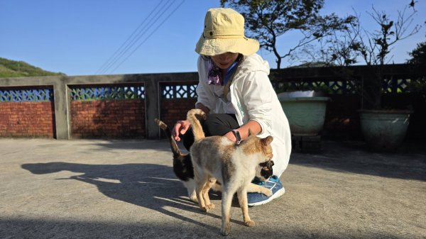 免出國免門票，連綿壯闊的梯田風情，全臺唯一梯田鳶尾花海，嵩山百年梯田2764680