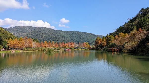 望龍埤,鎮頭山,蜊埤湖2391855