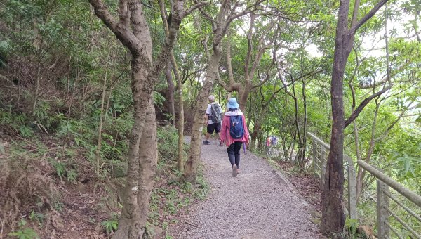 (姨婆趴趴走)第五十五集:攀登健走台北大崙頭尾山親山步道環狀一圈2853772