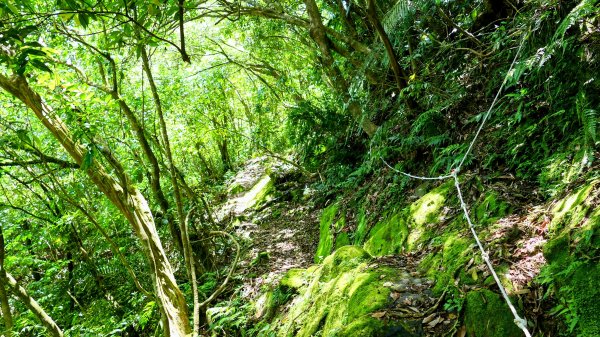 畝畝山。又上說2768159